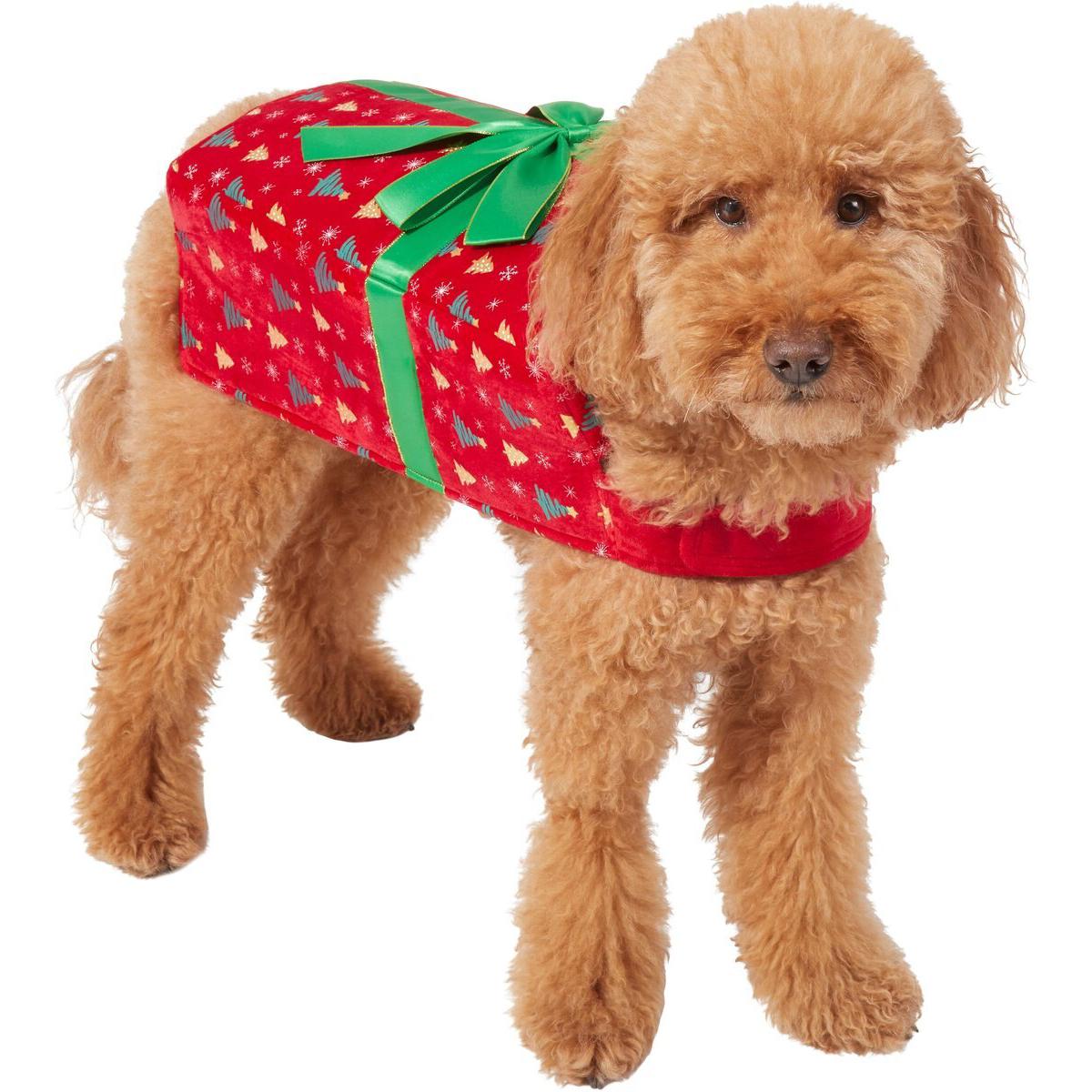 Dog costume designed as a Christmas gift box.