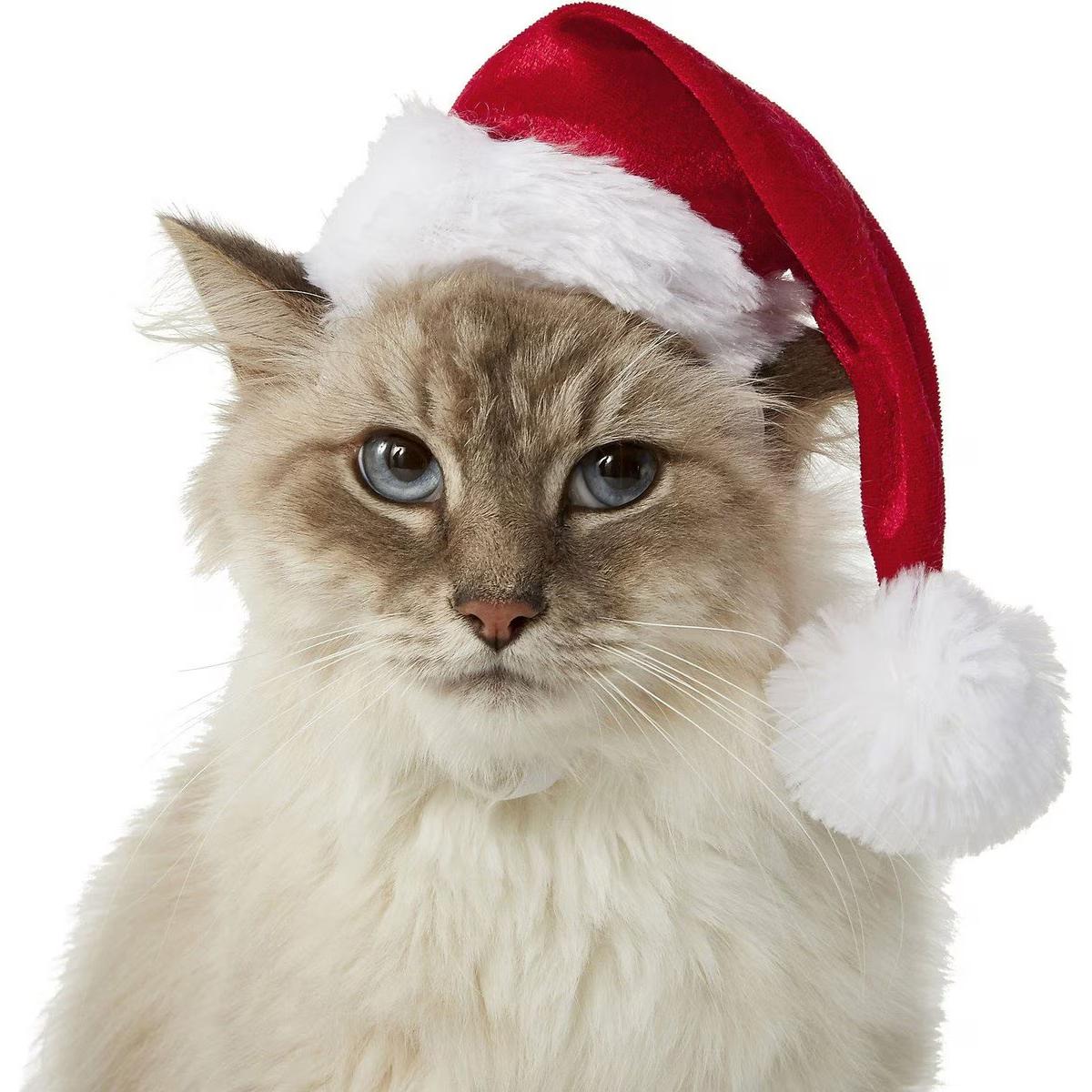 Red and white Santa hat for dogs.